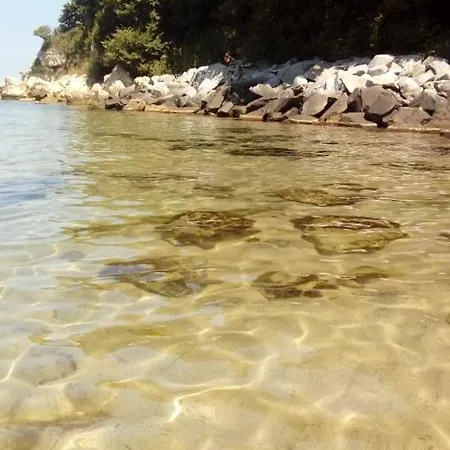 Casa de hóspedes Mareli