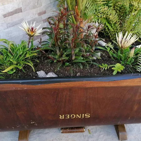 Mareli 게스트하우스